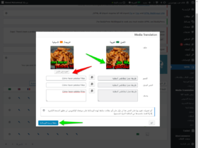 ملحق WPML Media Translation