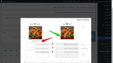 ملحق WPML Media Translation