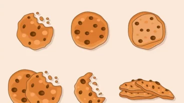 أفضل إضافات الكوكيز cookies في ووردبريس